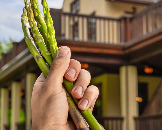 The Restaurant at Naramata Inn Puts Spotlight on Okanagan Bounty