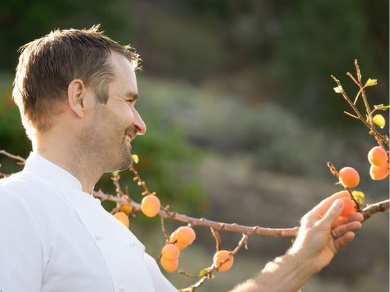 Chef Ned Bell returns to his roots, to the place he was born, the place that feeds his soul