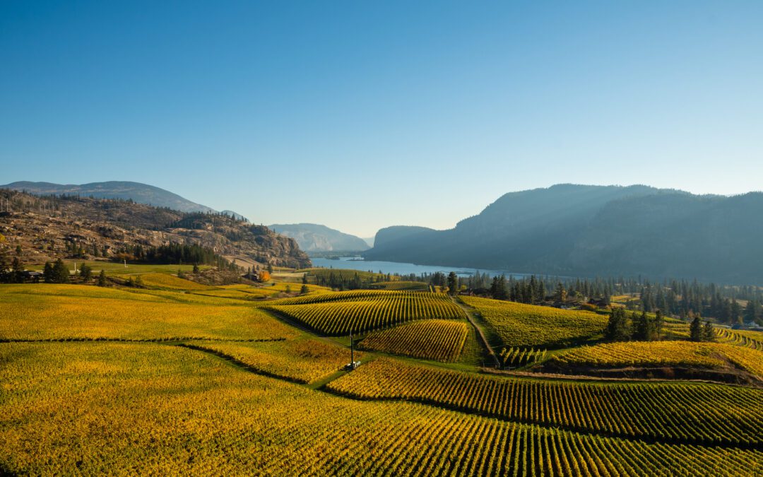 Vancouver Sun: Okanagan Summer Trip Planning Tips